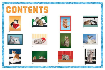 Paint by Sticker: Cats (Paint by Sticker Series)