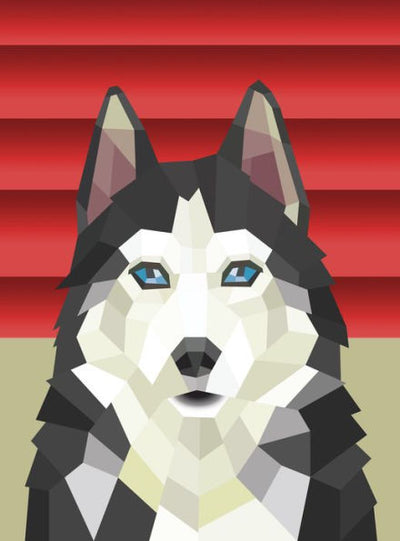 Paint by Sticker: Dogs: Create 12 Stunning Images One Sticker at a Time!