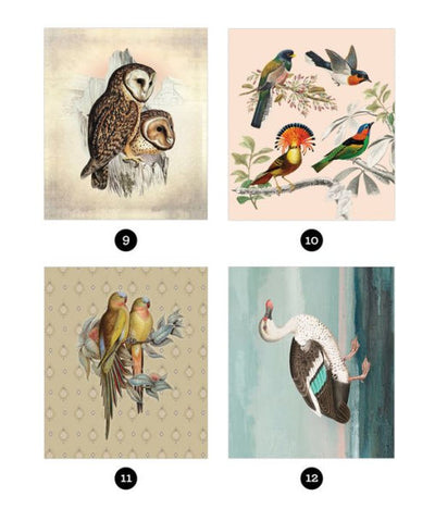 Brain Games Sticker By Number Vintage Birds