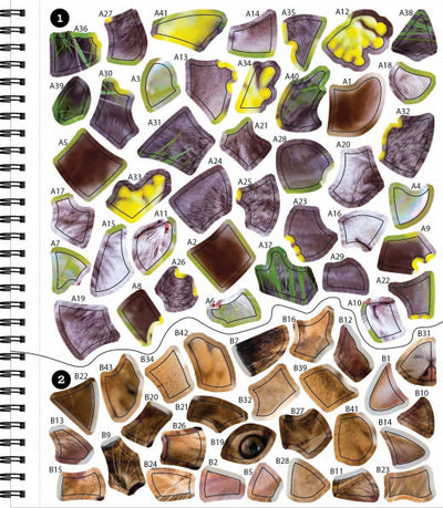 Sticker By Number All You Need is Cats
