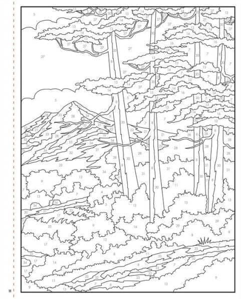 Bob Ross Color-by-Number