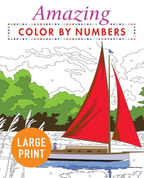 Amazing Color by Numbers Large Print